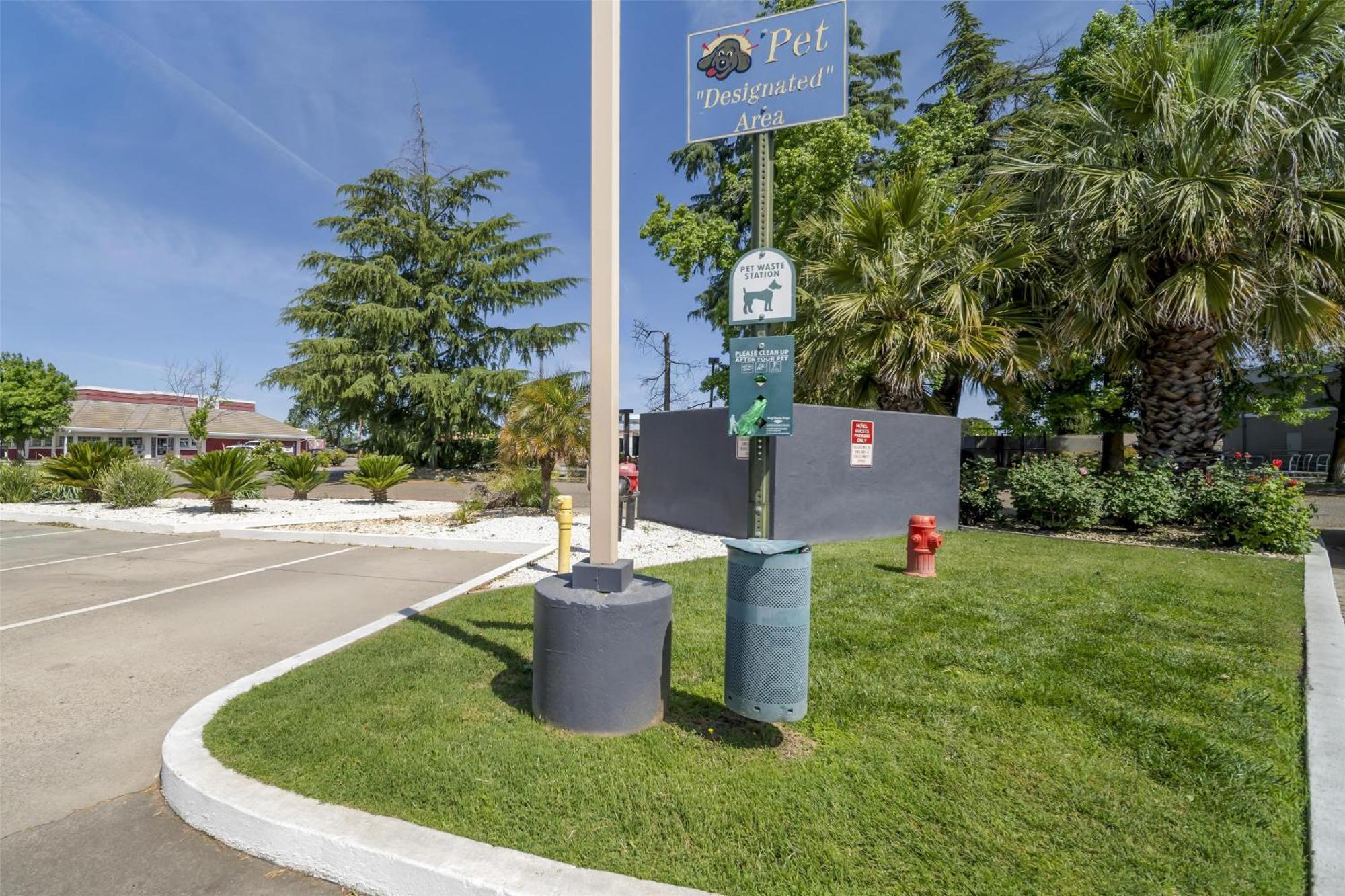 Best Western Antelope Inn & Suites Red Bluff Esterno foto